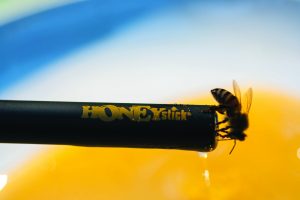 HoneyStick RIP and DITCH