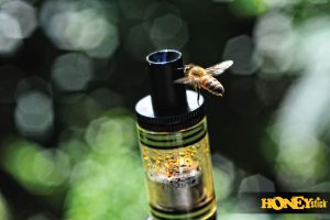 honeystick cannabis wax vape tank