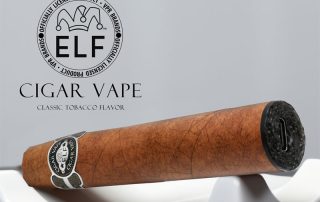 E-Cigar Best Disposable Vape 2024