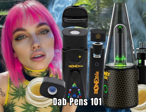 Dab Pens 101: About Wax Vaporizers