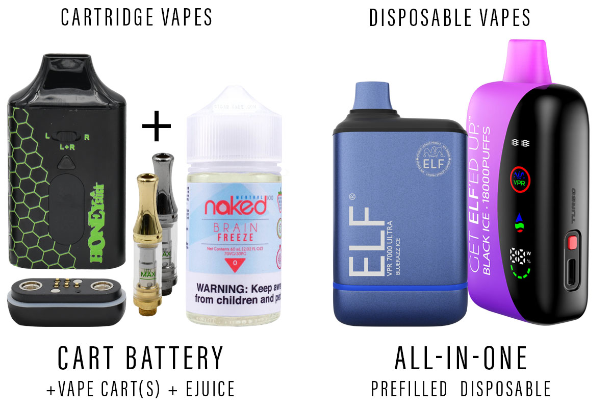 Cart Battery + Carts + Ejuice vs All-In-One Disposable Vape