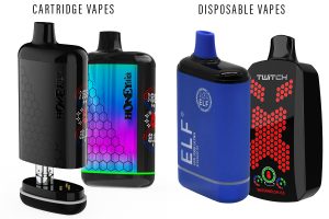 Disposable Vape vs Cart Battery